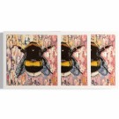 Bee Still thumbnail