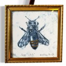 Bee Still 7/10 thumbnail